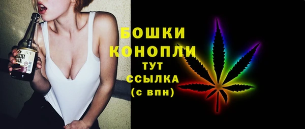 крисы Верхний Тагил