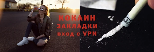 крисы Верхний Тагил