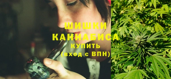 крисы Верхний Тагил