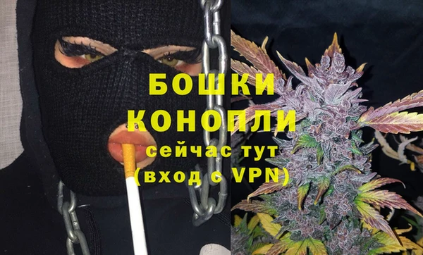 крисы Верхний Тагил