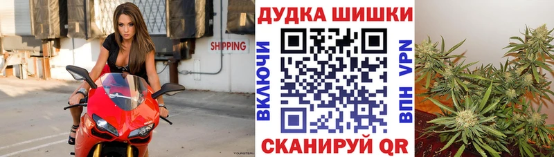 Канабис семена  Ноябрьск 
